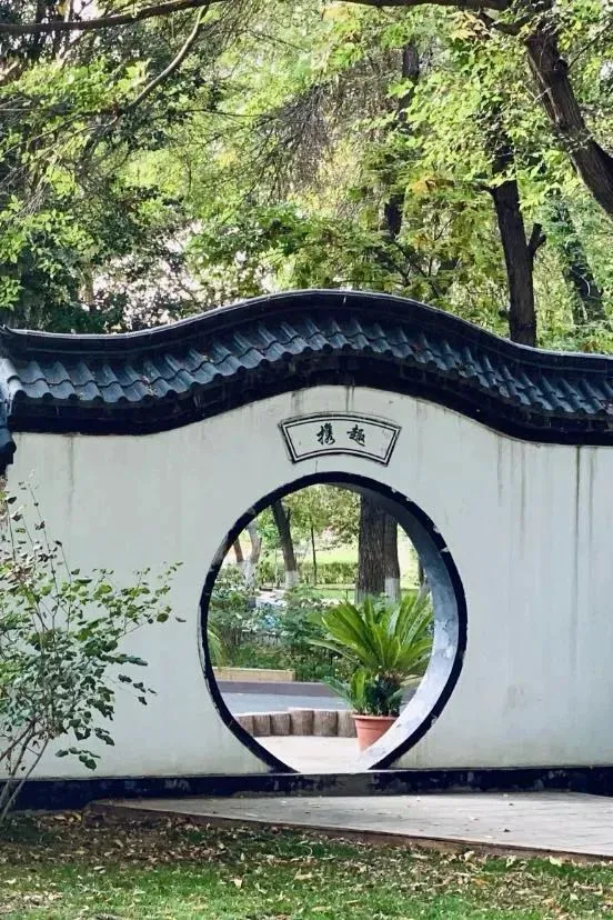 为什么可靠的篮球技术指导对初学者很重要？_2